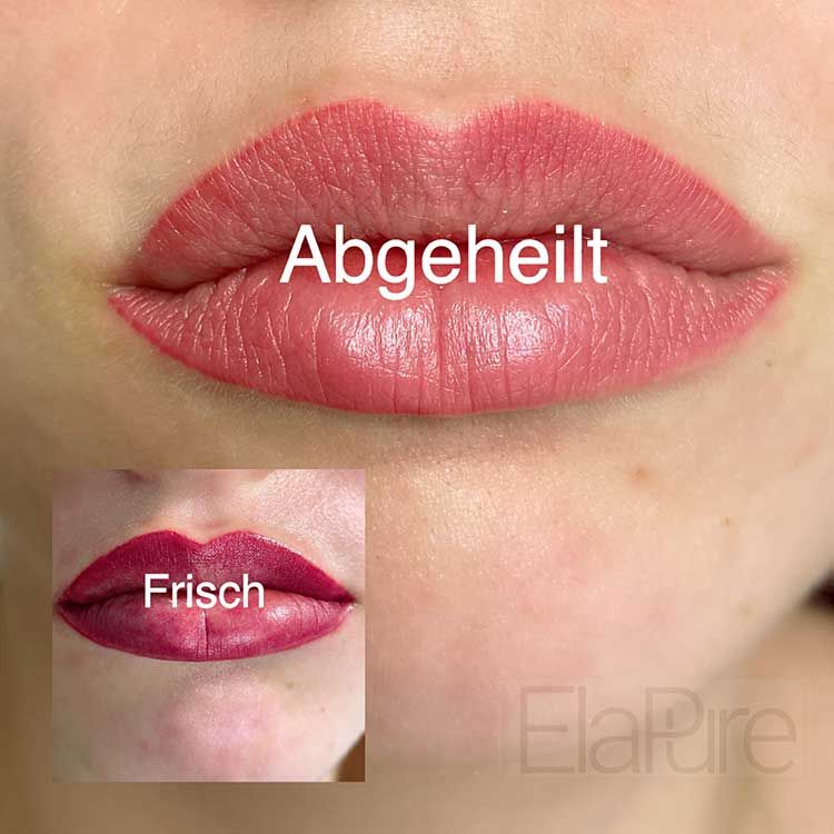 Microblading | ElaPure | Schönheitsatelier in Wien